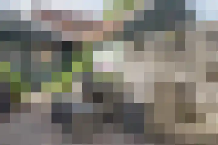 Tuinstraat 17 Zaandijk thumbnail 28