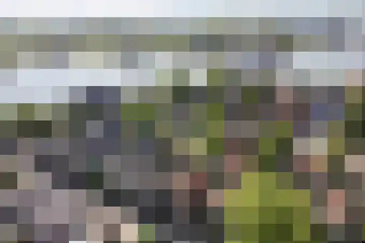 Tuinstraat 17 Zaandijk thumbnail 29