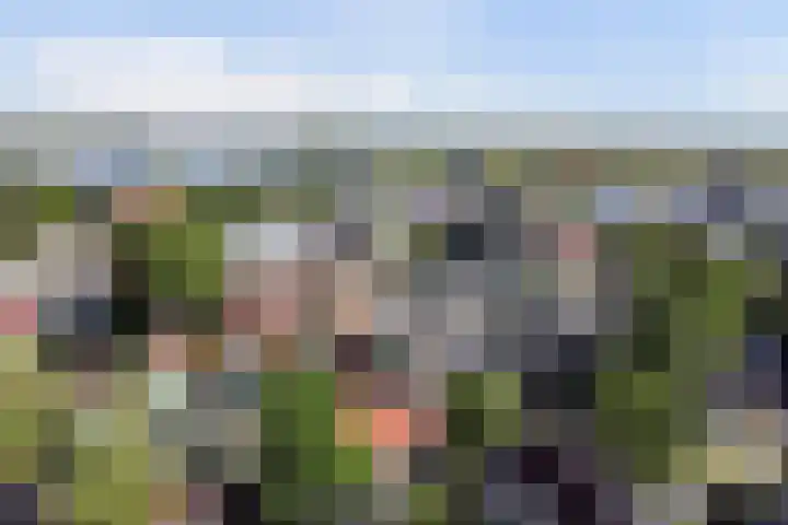 Tuinstraat 17 Zaandijk thumbnail 30