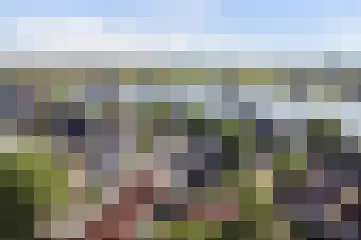 Tuinstraat 17 Zaandijk thumbnail 31