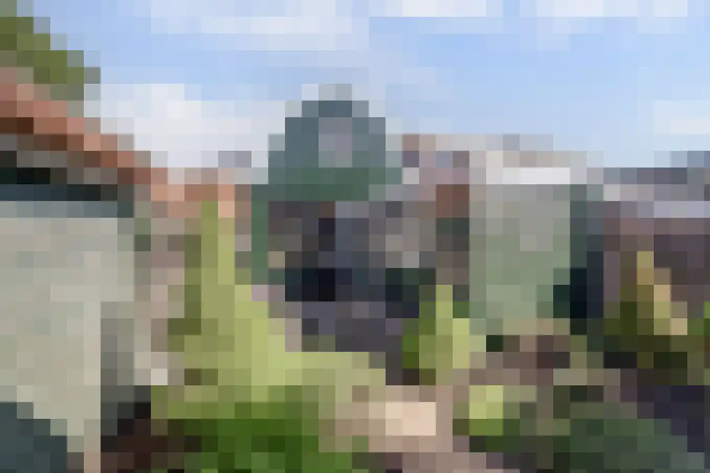 Tuinstraat 17 Zaandijk thumbnail 4