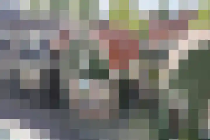 Tuinstraat 17 Zaandijk thumbnail 6