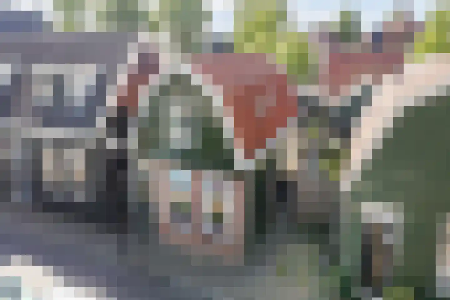 Tuinstraat 17 Zaandijk thumbnail 8