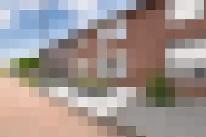 Tuinstraat 18 Echt thumbnail 6