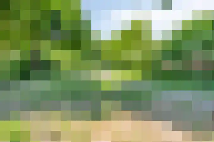 Tuinstraat 18 Heerlen thumbnail 23