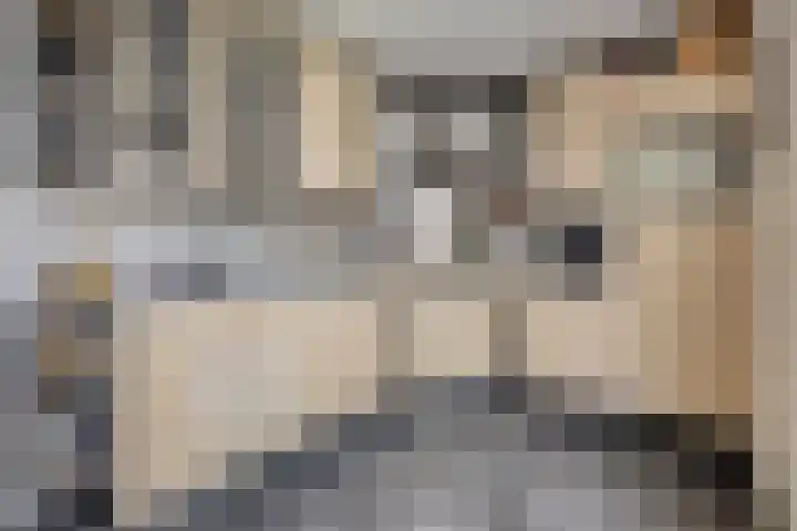 Tuinstraat 18 Heerlen thumbnail 9