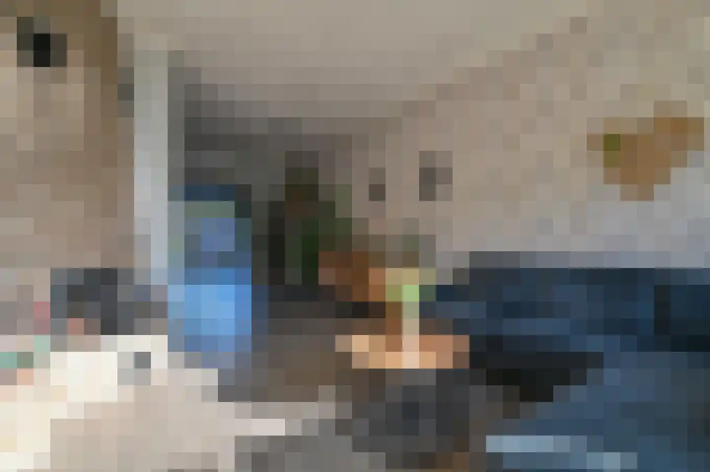 Tuinstraat 18 Huizen thumbnail 12