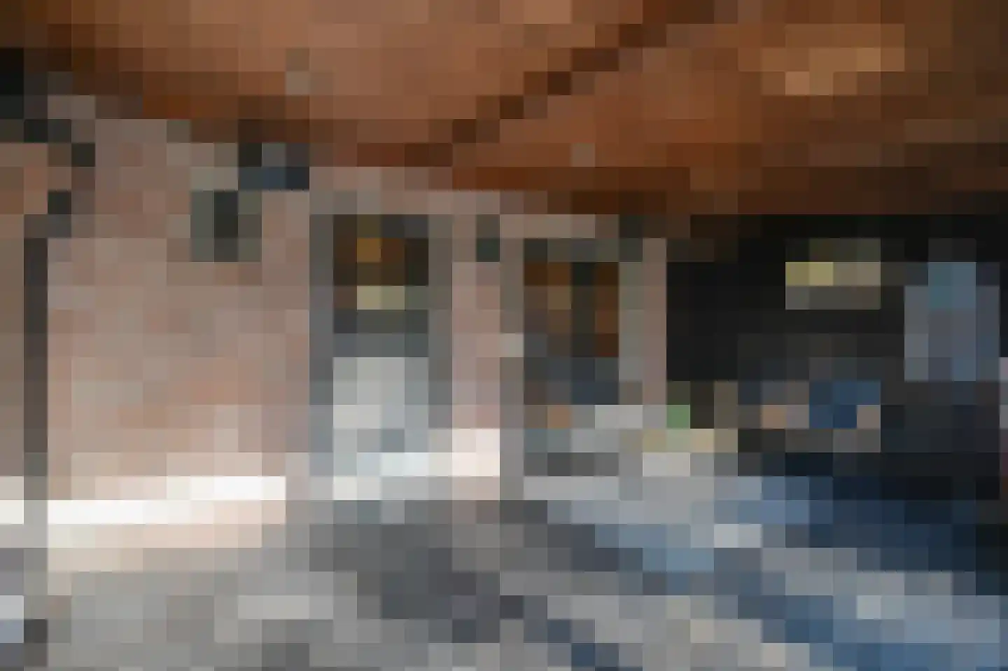 Tuinstraat 18 Huizen thumbnail 22