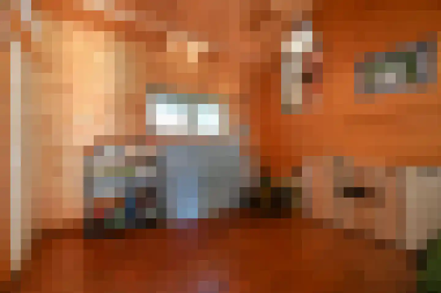Tuinstraat 18 Huizen thumbnail 23