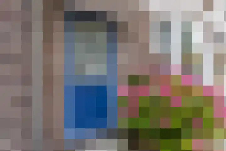 Tuinstraat 19 Zaandam thumbnail 11