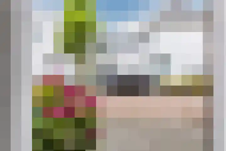 Tuinstraat 19 Zaandam thumbnail 12