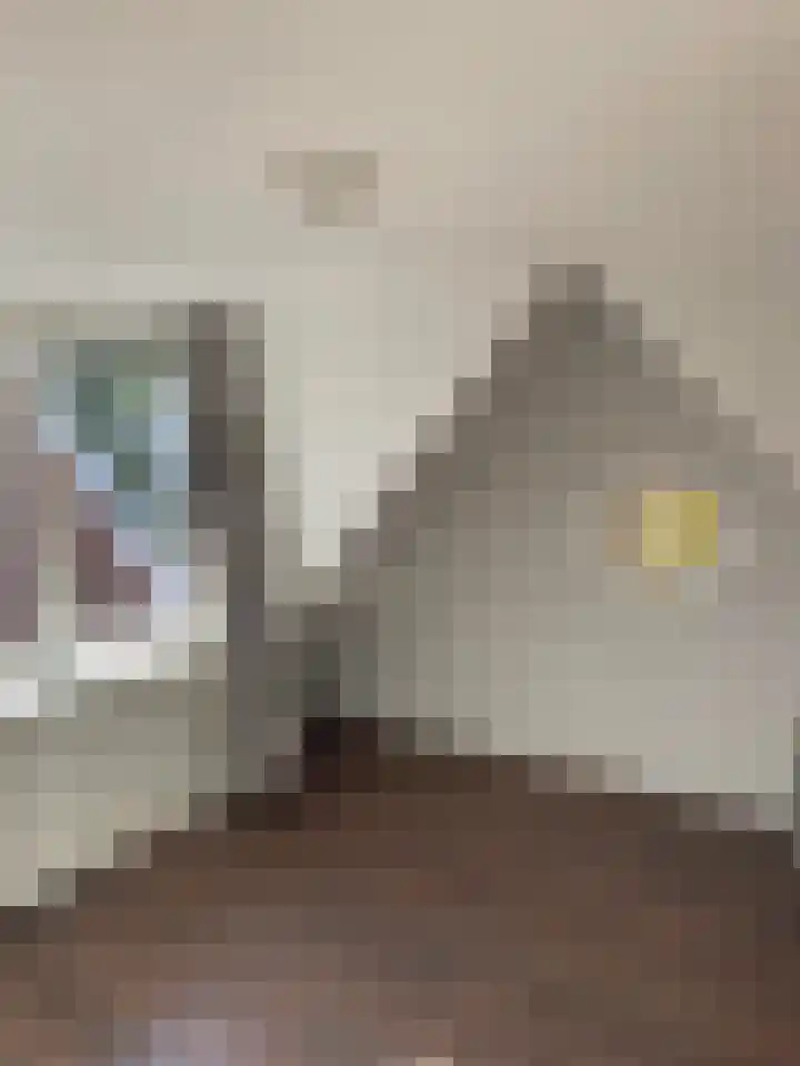 Tuinstraat 19 Zaandam thumbnail 30