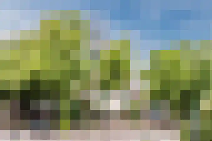 Tuinstraat 19 Zaandam thumbnail 39