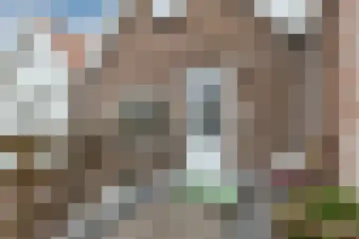 Tuinstraat 19 Zaandam thumbnail 5