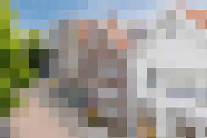 Tuinstraat 19 Zaandam thumbnail 9