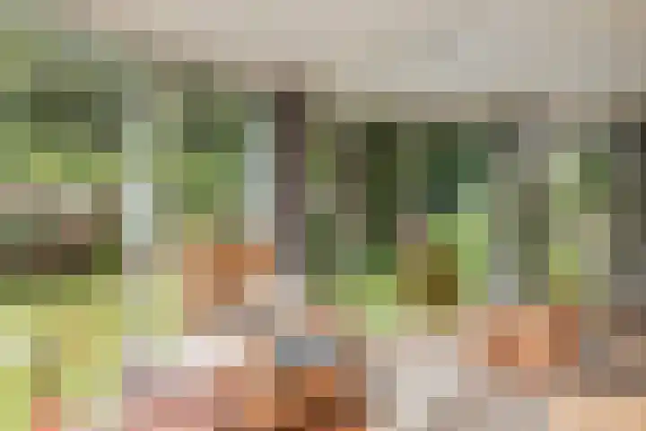 Tuinstraat 2 G Hauwert thumbnail 13