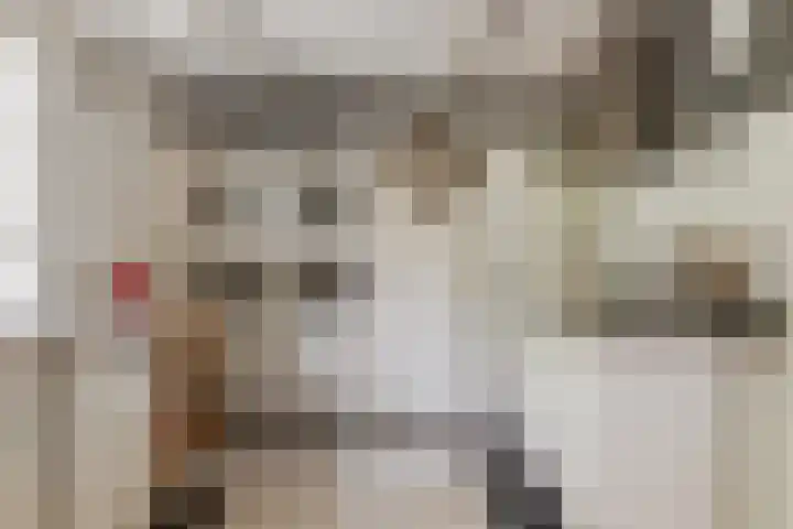 Tuinstraat 2 G Hauwert thumbnail 16