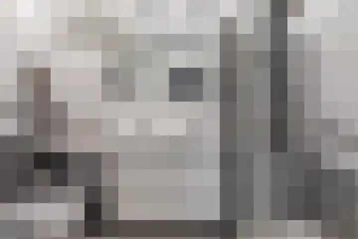 Tuinstraat 2 G Hauwert thumbnail 20