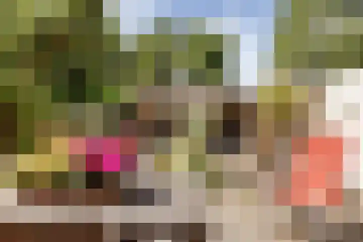 Tuinstraat 2 G Hauwert thumbnail 25