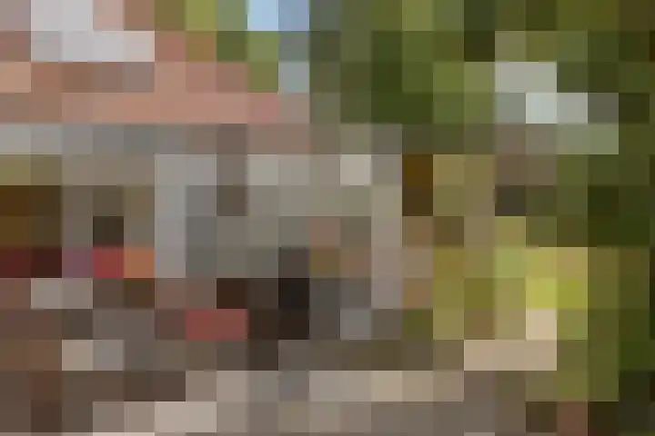 Tuinstraat 2 G Hauwert thumbnail 26
