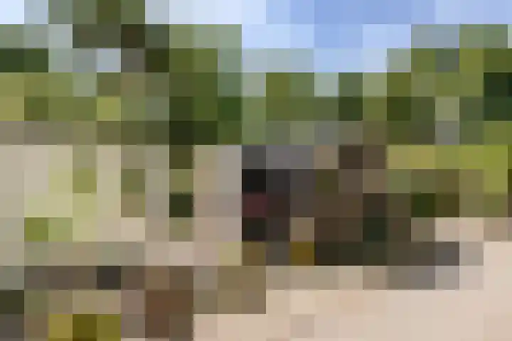 Tuinstraat 2 G Hauwert thumbnail 28