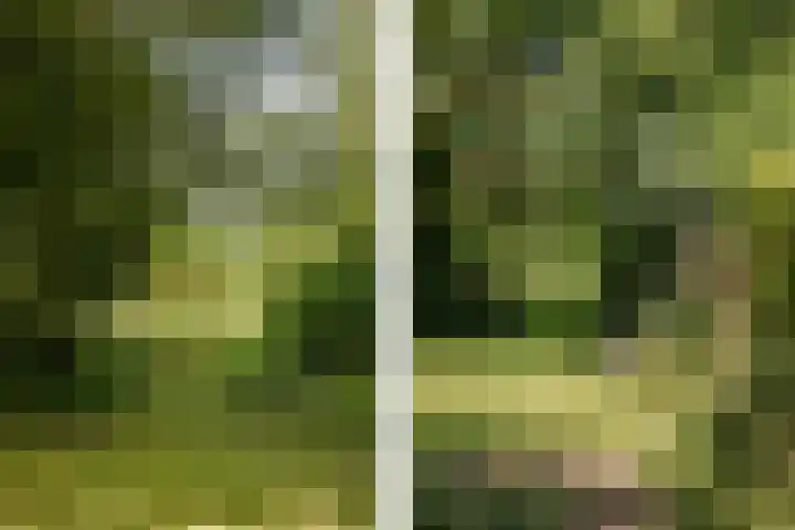 Tuinstraat 2 G Hauwert thumbnail 29