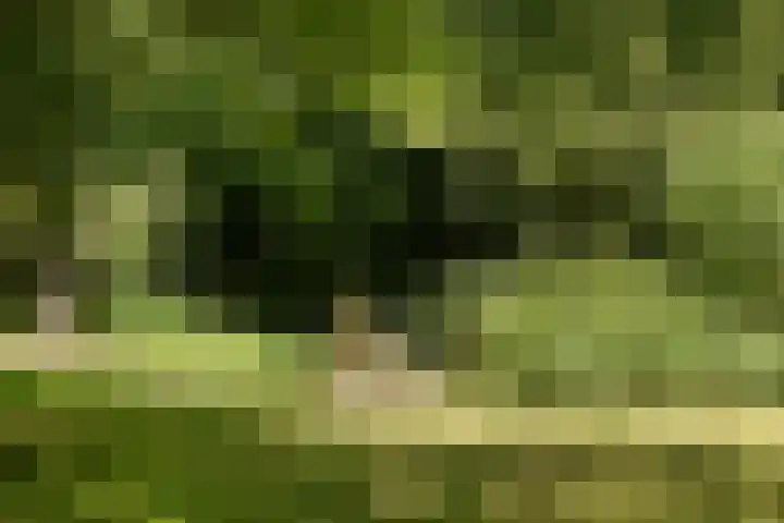 Tuinstraat 2 G Hauwert foto 3