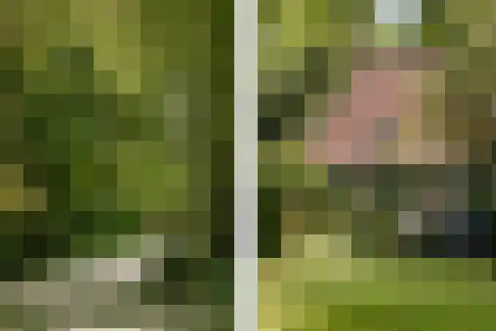Tuinstraat 2 G Hauwert thumbnail 30