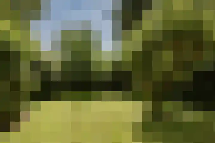 Tuinstraat 2 G Hauwert thumbnail 32