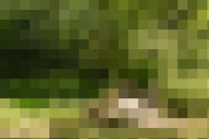 Tuinstraat 2 G Hauwert thumbnail 33
