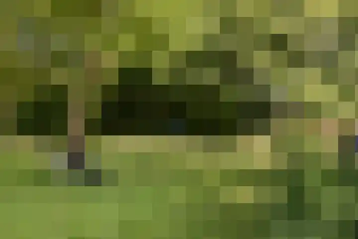Tuinstraat 2 G Hauwert thumbnail 34