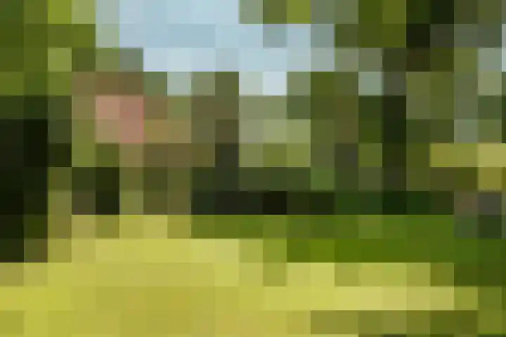 Tuinstraat 2 G Hauwert thumbnail 35