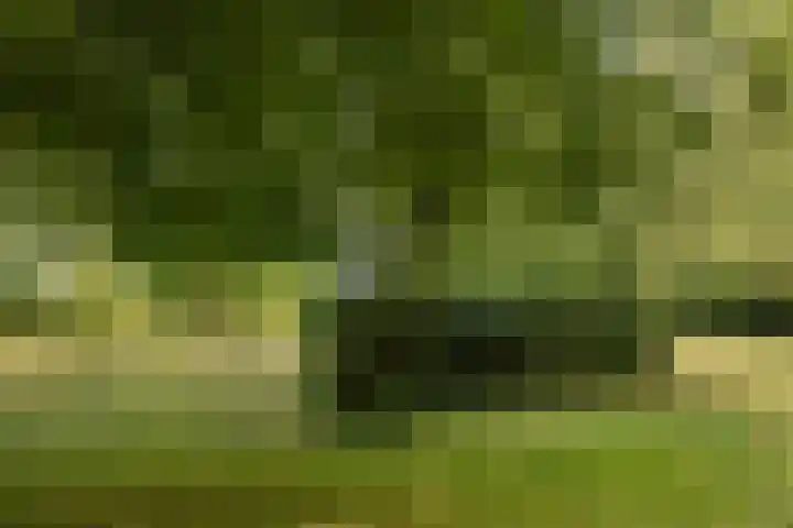 Tuinstraat 2 G Hauwert thumbnail 36
