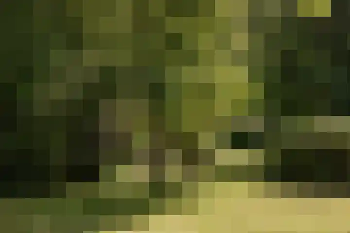 Tuinstraat 2 G Hauwert thumbnail 37