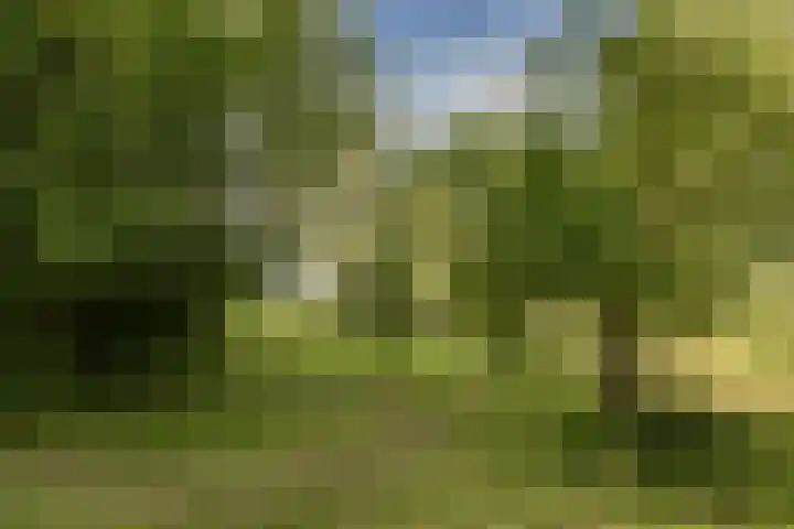 Tuinstraat 2 G Hauwert thumbnail 38