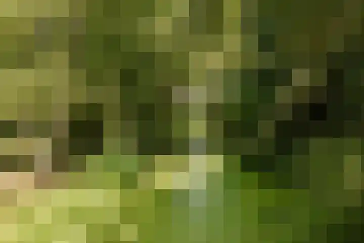 Tuinstraat 2 G Hauwert thumbnail 4