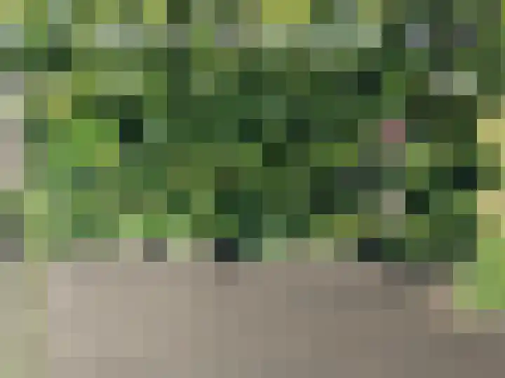 Tuinstraat 2 G Hauwert thumbnail 5