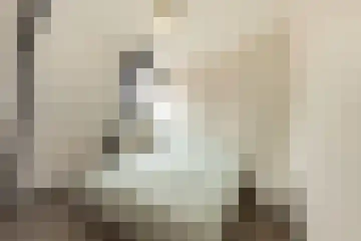 Tuinstraat 2 Makkum thumbnail 15