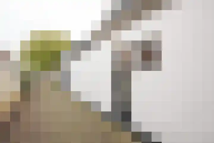 Tuinstraat 2 Makkum thumbnail 6