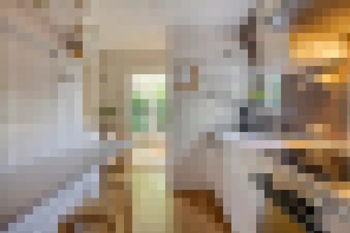 Tuinstraat 2 Rijen thumbnail 13