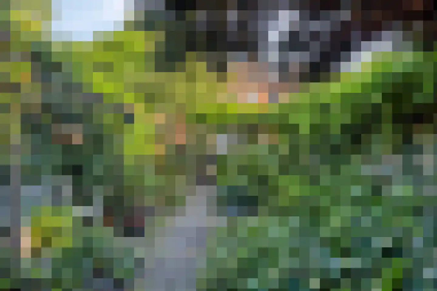 Tuinstraat 2 Rijen thumbnail 23