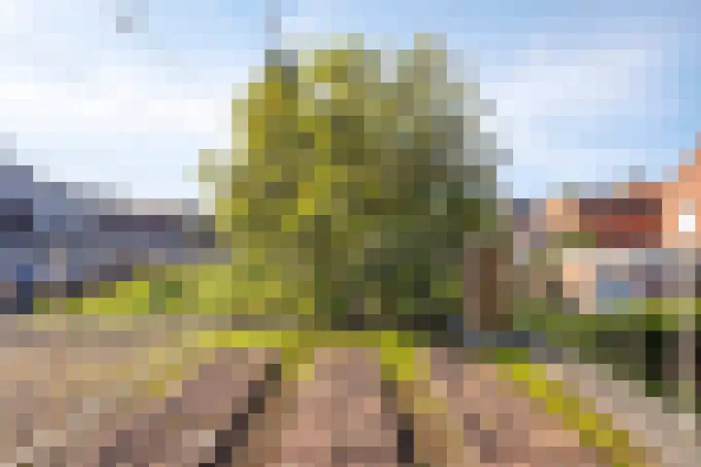 Tuinstraat 2 Rijen thumbnail 34
