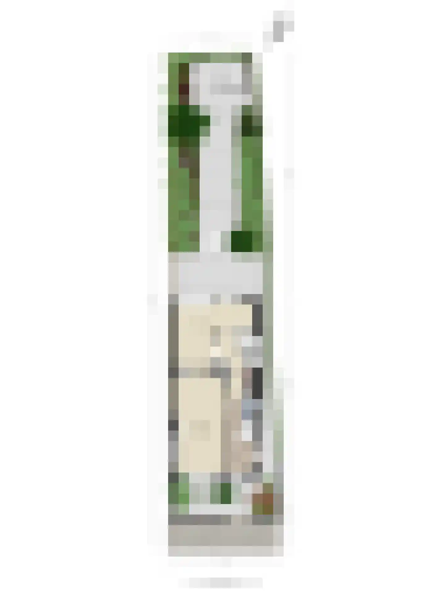 Tuinstraat 2 Rijen thumbnail 48