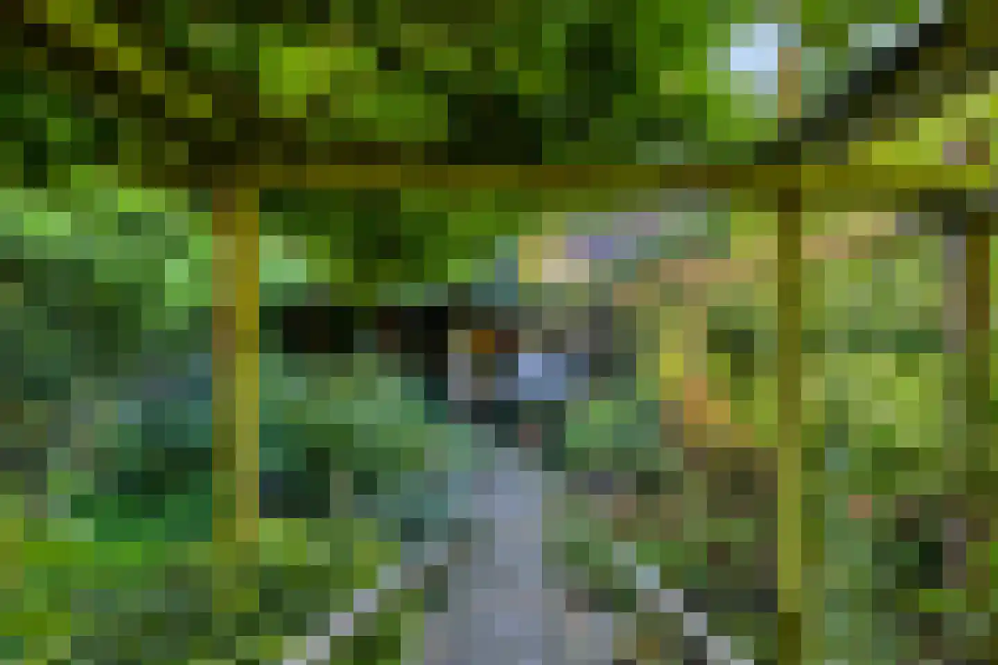 Tuinstraat 2 Rijen thumbnail 7