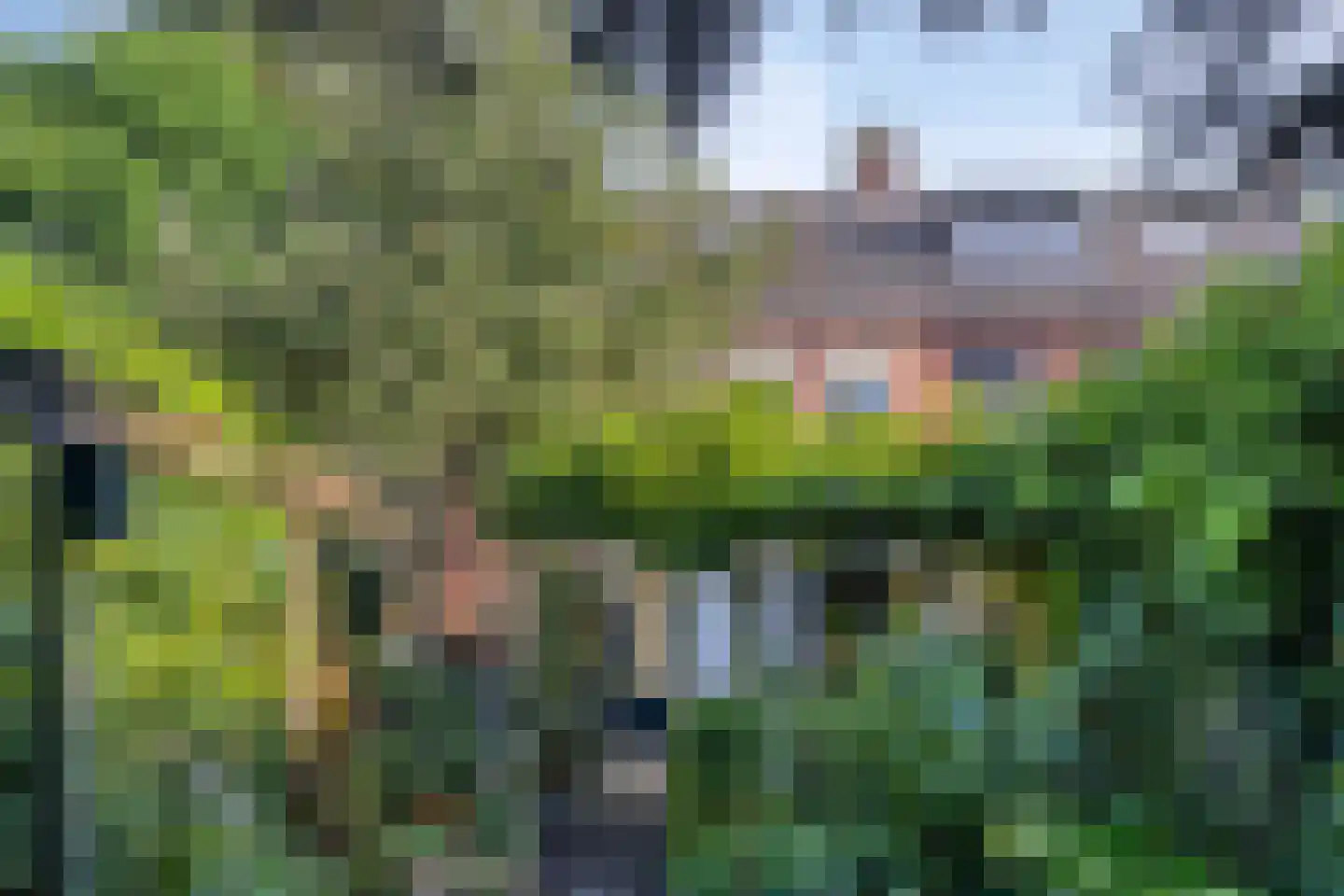 Tuinstraat 2 Rijen thumbnail 8