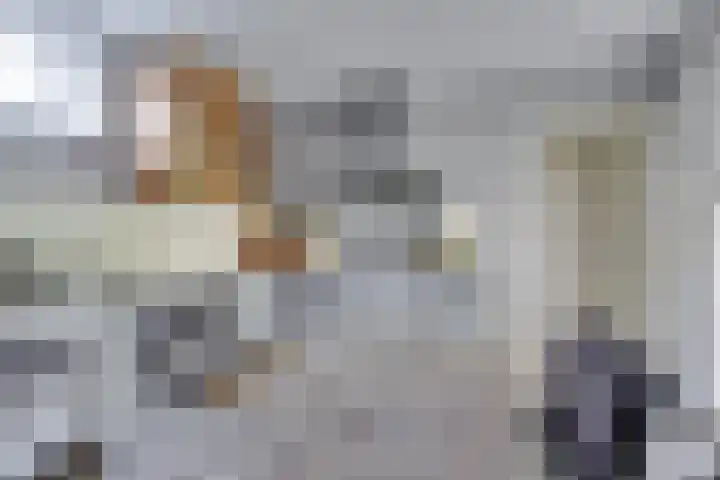 Tuinstraat 20 Dirksland thumbnail 13