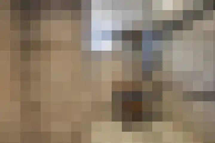 Tuinstraat 20 Dirksland thumbnail 14