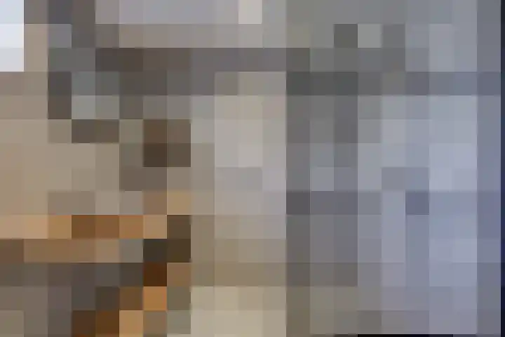 Tuinstraat 20 Dirksland thumbnail 15