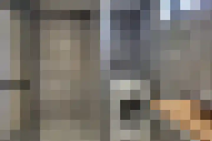 Tuinstraat 20 Dirksland thumbnail 16