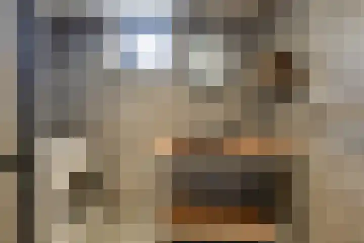 Tuinstraat 20 Dirksland thumbnail 17
